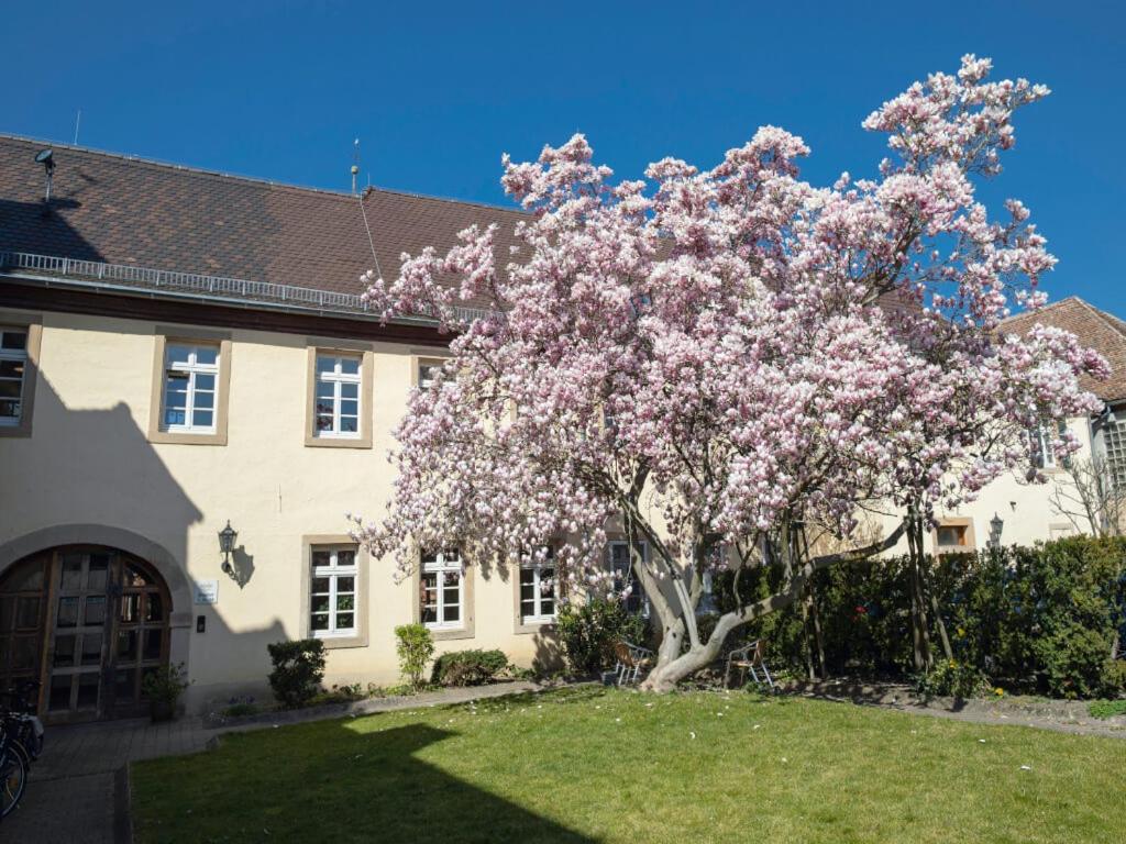 Hotel & Café Ritter von Böhl Deidesheim Buitenkant foto